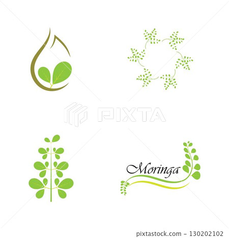 Moringa leaf logo illustration vector design Moringa leaf logo illustration vector design 130202102