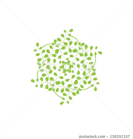 Moringa leaf logo illustration vector design Moringa leaf logo illustration vector design 130202107