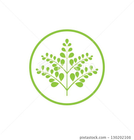 Moringa leaf logo illustration vector design Moringa leaf logo illustration vector design 130202108