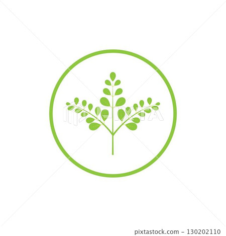 Moringa leaf logo illustration vector design Moringa leaf logo illustration vector design 130202110