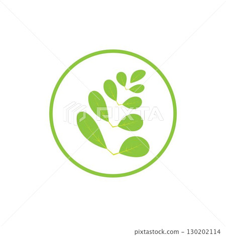 Moringa leaf logo illustration vector design 130202114