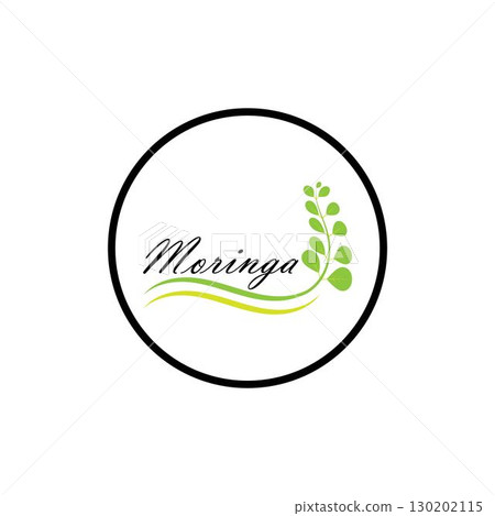 Moringa leaf logo illustration vector design Moringa leaf logo illustration vector design 130202115