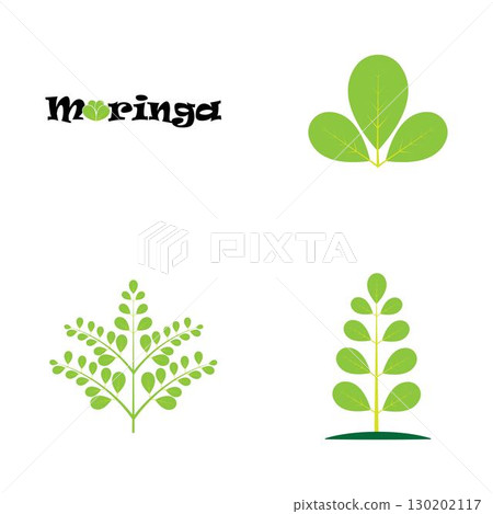 Moringa leaf logo illustration vector design 130202117