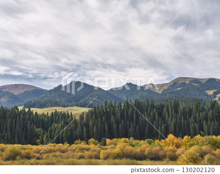 autumn scenery in xinjiang, china autumn scenery in xinjiang, china 130202120