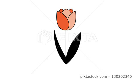Tulip flower vector illustration with orange petals and black leaves simple design Tulip flower vector illustration with orange petals and black leaves simple design 130202340