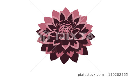 Dark pink and maroon dahlia flower vector illustration with layered petals and symmetrical design 130202365