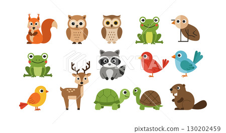 Cute woodland and forest animals vector set with birds frogs turtles and mammals collection 130202459