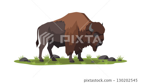 American bison standing on grassy patch with rocks natural wildlife vector illustration 130202545