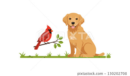 Golden retriever dog sitting near red cardinal bird on green grass vector illustration 130202708