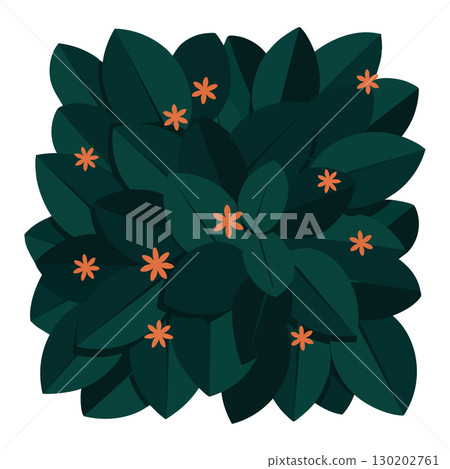 Dark green leafy bush with small orange flowers vector illustration natural plant design Dark green leafy bush with small orange flowers vector illustration natural plant design 130202761