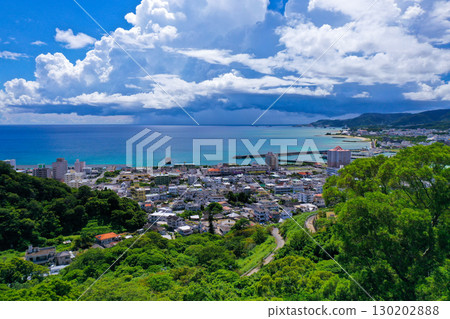 沖繩本島北部名護市區 沖繩本島北部名護市區 130202888