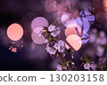 Gazing at cherry blossom petals at night 130203158