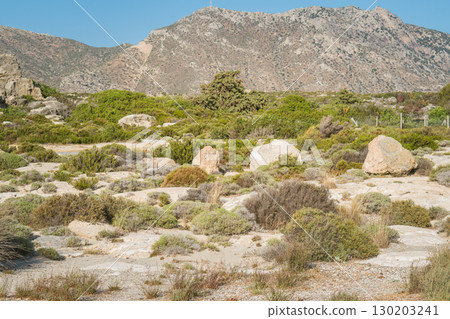 Mountainous Greek Landscape with Wild Herbs and Rocks - Natural Rural Scenery Mountainous Greek Landscape with Wild Herbs and Rocks - Natural Rural Scenery 130203241
