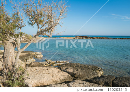 Scenic landscape of nature reserve at Elafonisi beach. Lonely tree, rocky beach and turquoise water 130203243