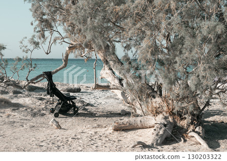 Compact Lightweight Baby Stroller on Sandy Beach - Travel-Friendly and Foldable Design Compact Lightweight Baby Stroller on Sandy Beach - Travel-Friendly and Foldable Design 130203322