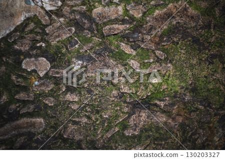 Texture of old stone masonry with green moss 130203327