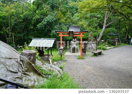 神社與鳥居被綠樹環繞的寧靜景象 神社與鳥居被綠樹環繞的寧靜景象 130203537