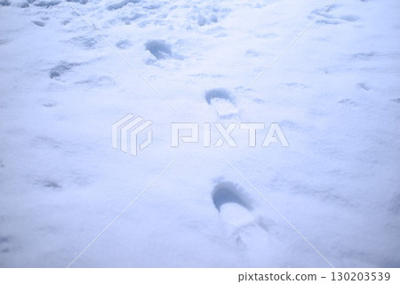 新雪上的腳印特寫 新雪上的腳印特寫 130203539