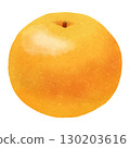 Pears illustration 130203616