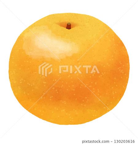 梨的插圖 130203616