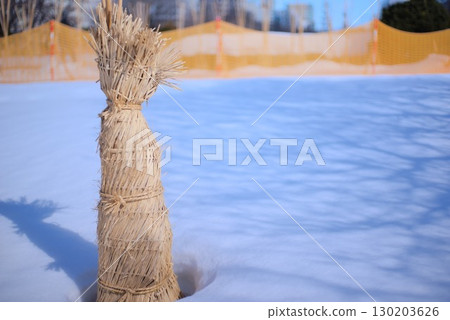 雪地裡排列著稻草柵欄的冬日風景 雪地裡排列著稻草柵欄的冬日風景 130203626