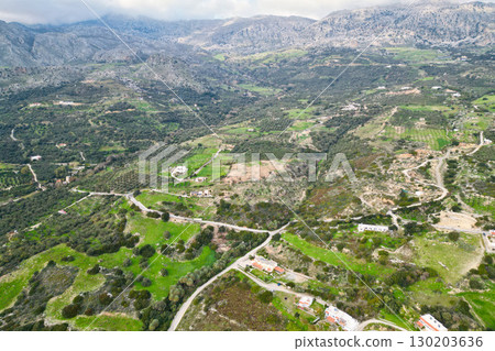 Aerial Perspective of Lush Olive Groves in Southern Crete 130203636