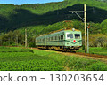 Oigawa Railway Nankai Electric Railway Tea Plantation 130203654