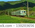Oigawa Railway Nankai Electric Railway Tea Plantation 130203656