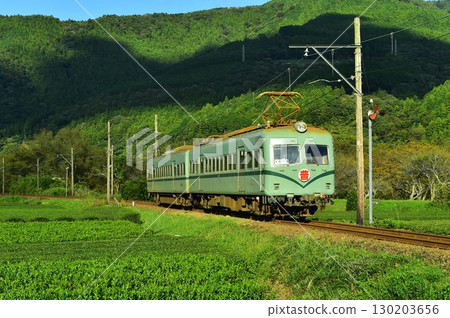 Oigawa Railway Nankai Electric Railway Tea Plantation Oigawa Railway Nankai Electric Railway Tea Plantation 130203656
