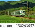 Oigawa Railway Nankai Electric Railway Tea Plantation 130203657