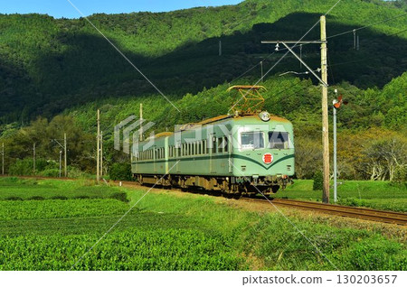 大井川鐵道 南海電鐵 茶園 大井川鐵道 南海電鐵 茶園 130203657