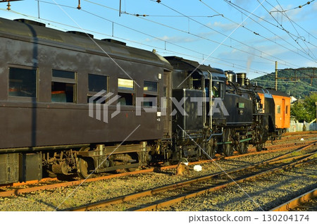 大井川鐵道新金谷站SL（蒸氣機車） 130204174