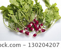 43570 Red radish 130204207