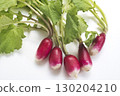 43573 Red radish 130204210