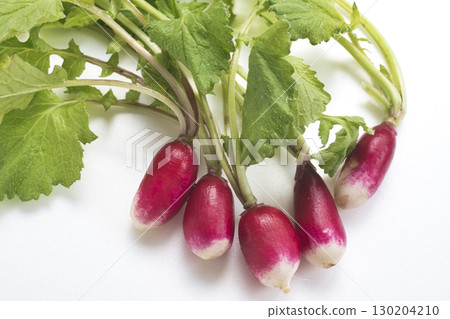 43573 Red radish 130204210