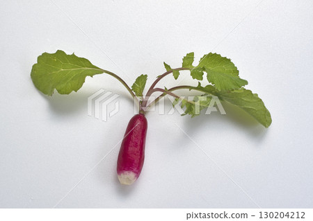 43575 Red radish 130204212