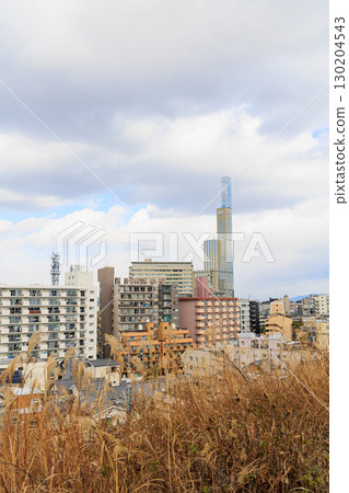 從禦茶屋宮遺址展望廣場眺望枚方市容 130204543