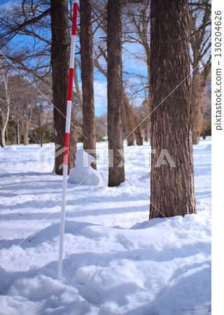 A signpost and trees standing in the snow 130204626