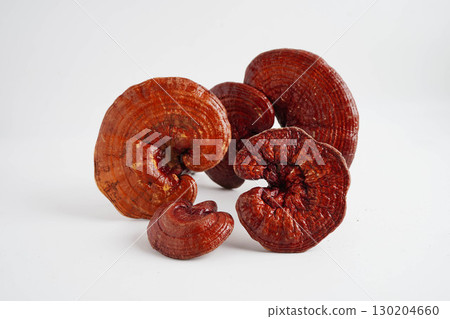 Lingzhi or Reishi mushroom with capsules, organic natural healthy food. Lingzhi or Reishi mushroom with capsules, organic natural healthy food. 130204660