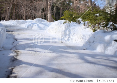 A winter tree-lined road surrounded by snow A winter tree-lined road surrounded by snow 130204724