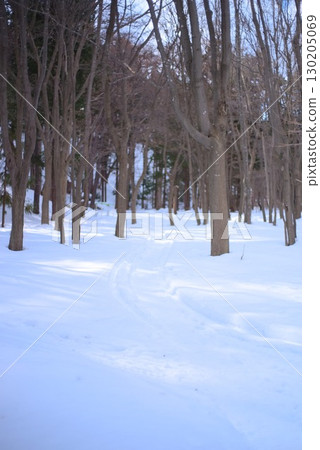 The snow-covered approach to the shrine and the temple grounds in winter 130205069
