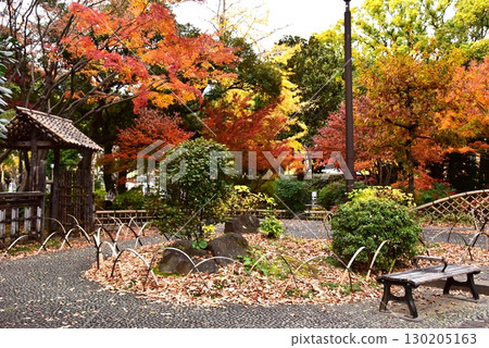 Yokohama City: Colorful autumn leaves and walking paths at Yokohama Park and Kaga Garden Yokohama City: Colorful autumn leaves and walking paths at Yokohama Park and Kaga Garden 130205163