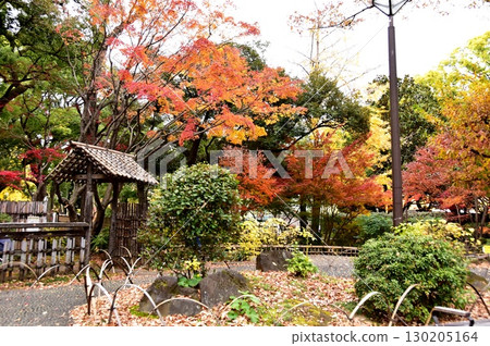 橫濱市:橫濱公園和加賀花園的色彩繽紛的秋葉和步道 橫濱市:橫濱公園和加賀花園的色彩繽紛的秋葉和步道 130205164