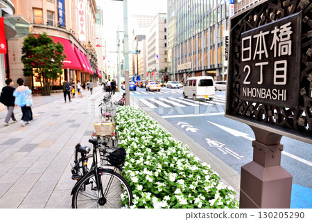 週末的日本橋二丁目景色，人行道上盛開著美麗的白色花朵 130205290