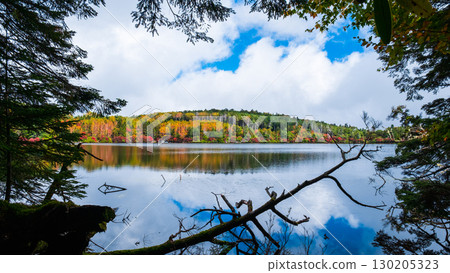 秋天的白駒池 130205323