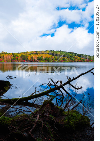 秋天的白駒池 130205327