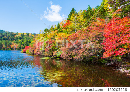 秋天的白駒池 130205328