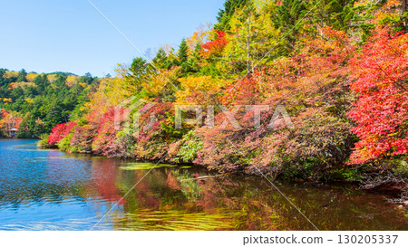 秋天的白駒池 130205337