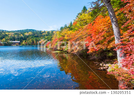 秋天的白駒池 130205351