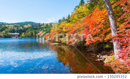 Shirakoma pond in autumn Shirakoma pond in autumn 130205352